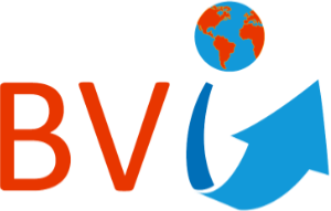 Logo BV INTERNATIONAL